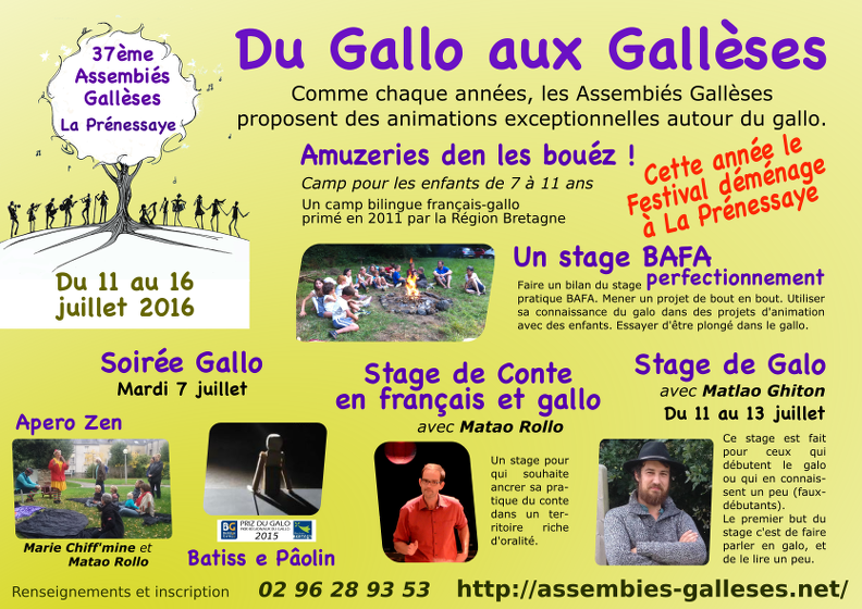 flyer_gallo_verso.png