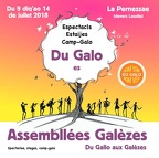 2018 flyer galo