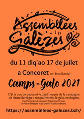 flyer camps galo