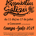 flyer camps galo