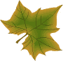 wiki:cliparts:theme_feuilles:028.png